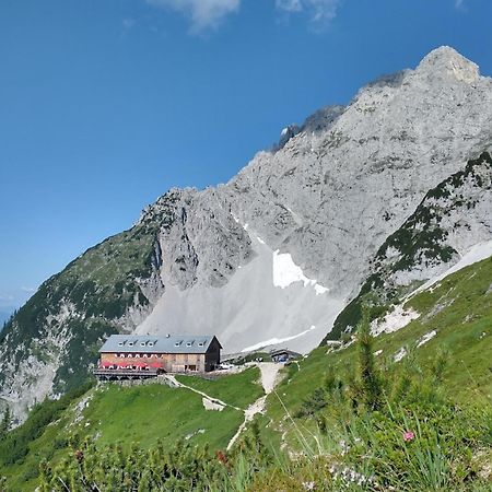 Oberachen Apartment Ellmau Dış mekan fotoğraf